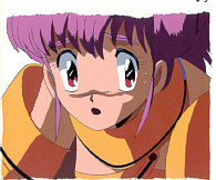 Cel maps-07