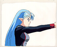 Cel seikai-03