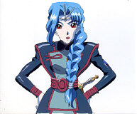 Cel seikai-14