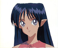 Cel seikai-17