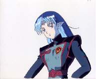 Cel seikai-23