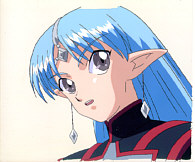 Cel seikai-34