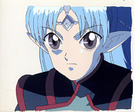 Cel seikai-35