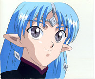 Cel seikai-37