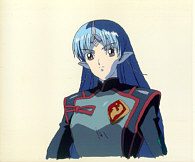 Cel seikai-51