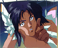 Cel wild-03