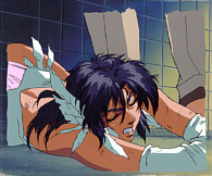Cel wild-04