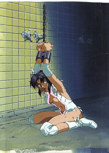 Cel wild-08