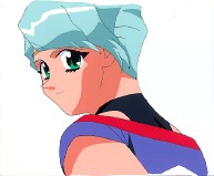 Cel dai-307