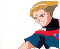 Cel dai-342