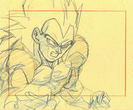 Cel dbz-221