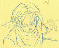 Cel dbz-222