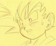Cel dbz-223