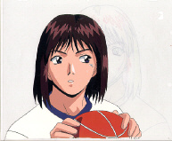 Cel gto-41