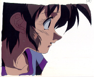 Cel key-151