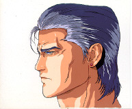 Cel mega-09