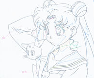 Cel sam-301