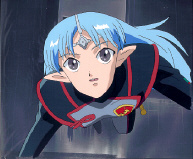 Cel seikai-51