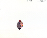 Cel spriggan-34