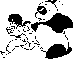 Ranma & panda